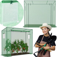 Foliengewächshaus mit Fenster 80 x 200 x 170 cm