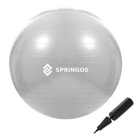 Gymnastikball 75 cm Fitnessball mit Luftpumpe grau