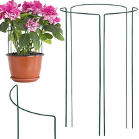 Pflanzenstützen 3 Stück Halbrund 45 cm