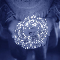Lichterkette mit 200 LEDs, Kaltweiß, 23 m, Stromversorgung