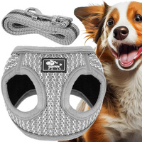 Harnais pour chien avec laisse rembourrée M pour chiens chats