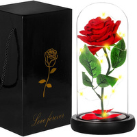 Rose dans un verre 22 cm avec guirlande lumineuse LED