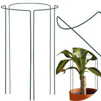 Piquets de plantes 3 pièces Demi-rond 75 cm