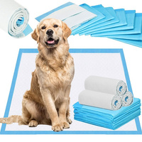 Tapis d'hygiène pour animaux de compagnie 10 pièces Tapis de propreté pour chiots 60 x 90 cm