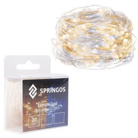 Éclairage en fil d'argent avec 20 LED 2 m Blanc froid Blanc chaud Intérieur Batterie