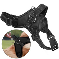 Harnais pour chien taille L rembourré Harnais pour grands chiens