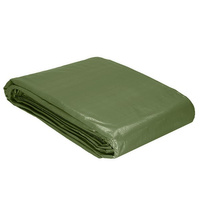 Avion 3 x 5 m, imperméable, PE 120g/m2, pour bois de chauffage