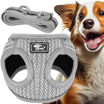 Harnais pour chien avec laisse XS rembourré pour chiens chats