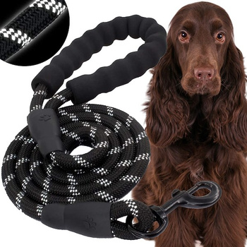 Laisse pour chien en nylon 5 m réfléchissante pour chiens de grande et moyenne taille